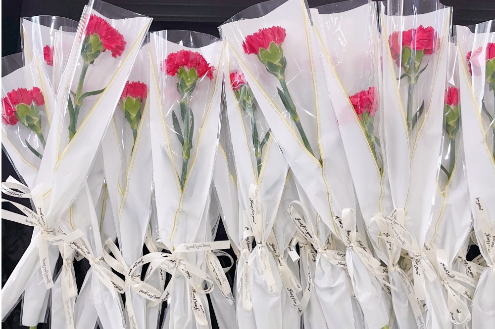 獻禮3.8節|勇做攀登者，奮進新未來