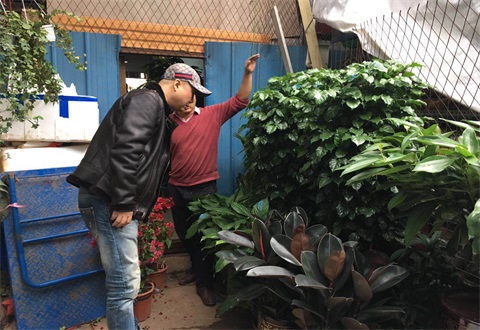 厲行節約 親臨市場